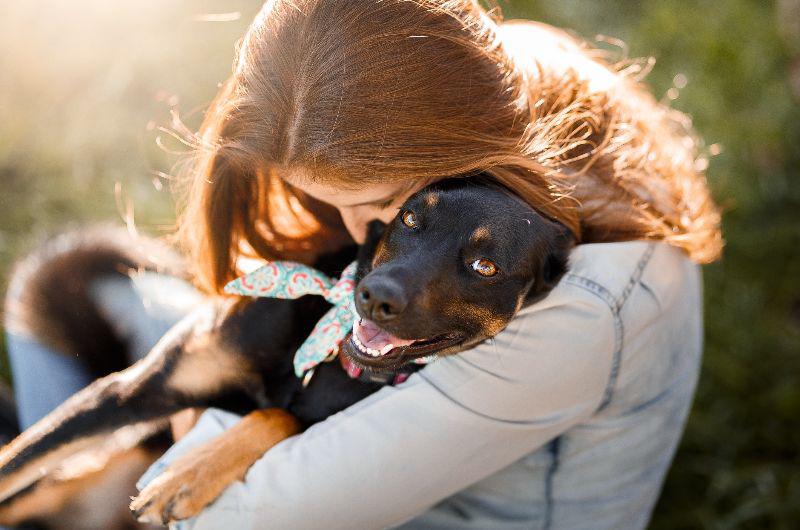 Los perros están entrando en una nueva fase de evolución, según la ciencia, ¿cuál es?